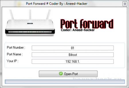 Port Forward 0pner (открыть порт)